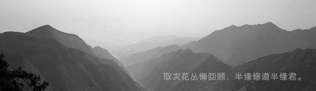 是对自己依然放不开？还是孤独已经变成一种习惯？